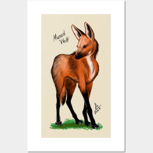 Maned Wolf Posters and Art